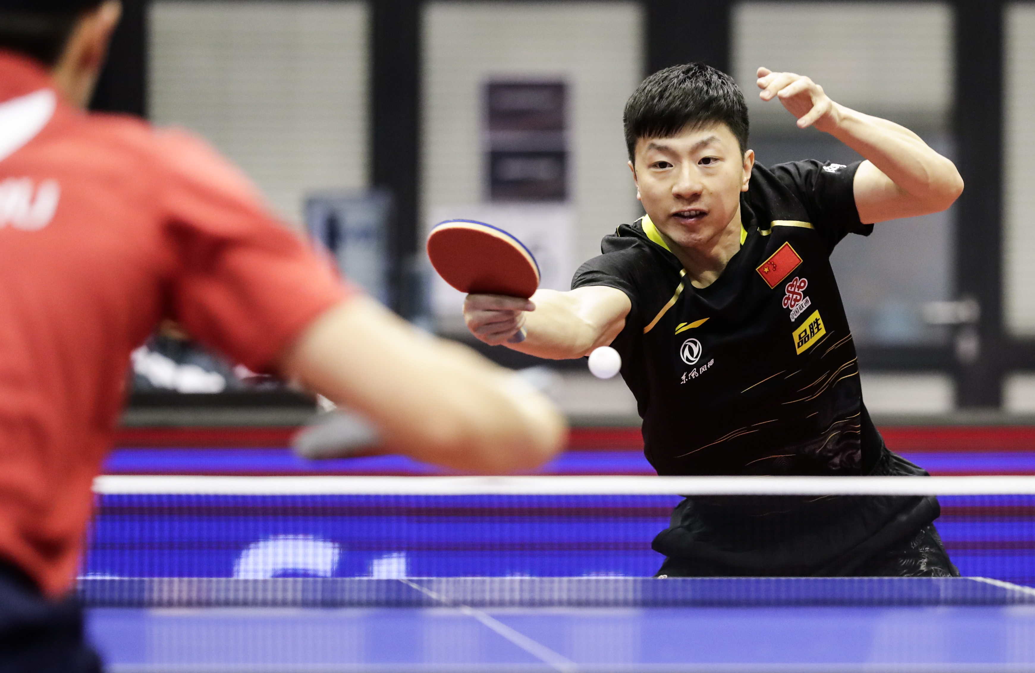 德国队力克日本队，梁靖崑刷新纪录